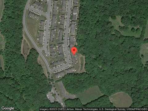 Bristle Cone, ABERDEEN, MD 21001