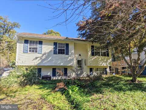 Rosemary, CHESAPEAKE BEACH, MD 20732