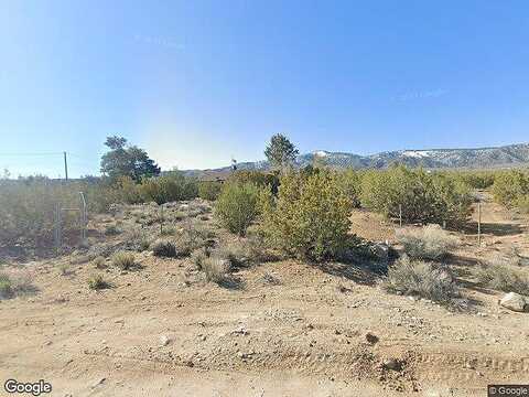 Cholla, PINON HILLS, CA 92372