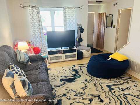 Procyon, BLACKWOOD, NJ 08012