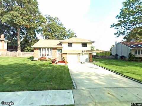Sugar Maple, ROSLYN, NY 11576