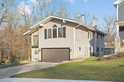 Czacki, LEMONT, IL 60439