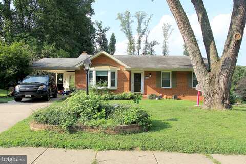 Marcy, SPRINGFIELD, VA 22152
