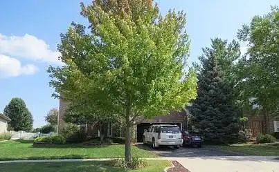 Butterfield, SHOREWOOD, IL 60404