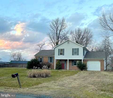 Petinot, STEVENSVILLE, MD 21666