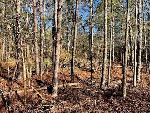 0 Tattnall Lake Dr - Parcel A, Dublin, GA 31021