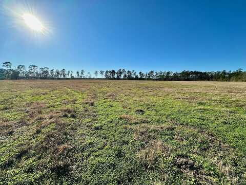 6525 Mustang Trail, Kountze, TX 77625