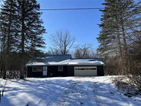 6431 Lewis Road, Hector, NY 14886