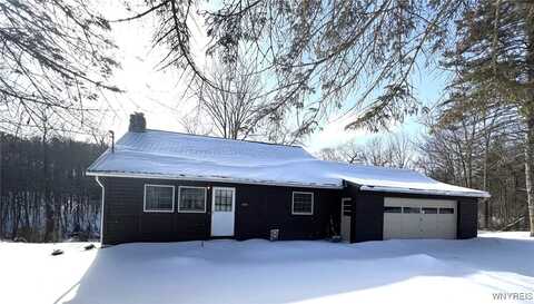 6431 Lewis Road, Hector, NY 14886