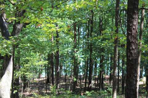 Lot 14 Lake Pointe Drive, Quitman, AR 72131