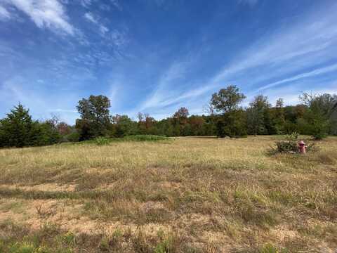 Lot 14 Castlepines, Greenbrier, AR 72058