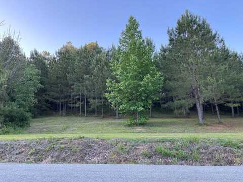 1461 Sloan Gap Rd, Ocoee, TN 37361