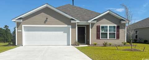 5810 Ellisridge Ct, Conway, SC 29526