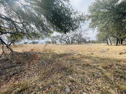 3251 Reeh Rd, Harper, TX 78631