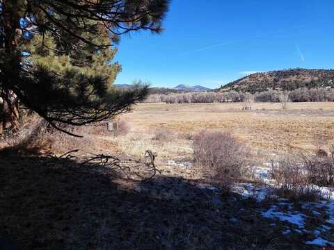 449 Willow Park Dr, South Fork, CO 81154