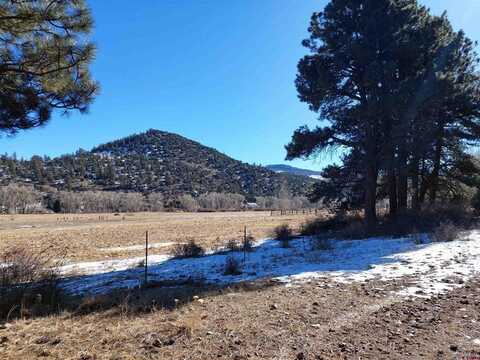 449 Willow Park Dr, South Fork, CO 81154