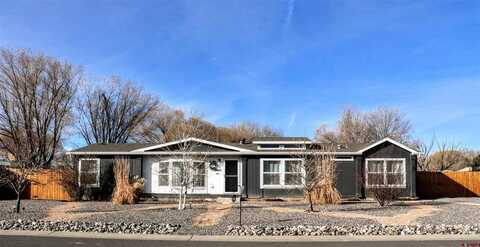 63911 Nicolette Way, Montrose, CO 81403