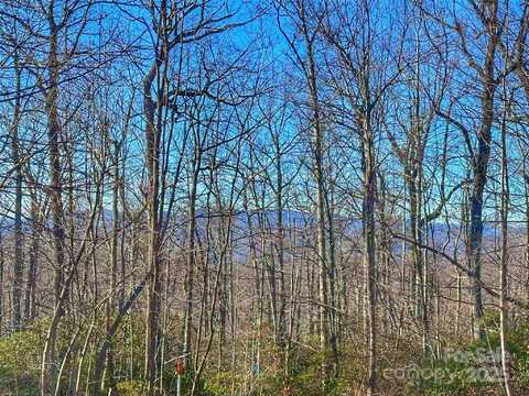 13 Rolling Ridge Trail, Black Mountain, NC 28711