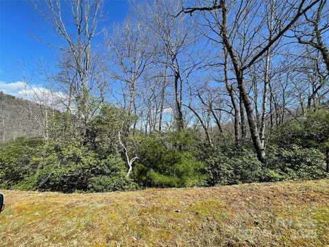 N Running Deer Trail lot: 85-R, Horse Shoe, NC 28742