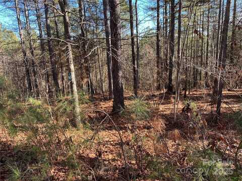 2052 Lighthouse Lane, Connelly Springs, NC 28612