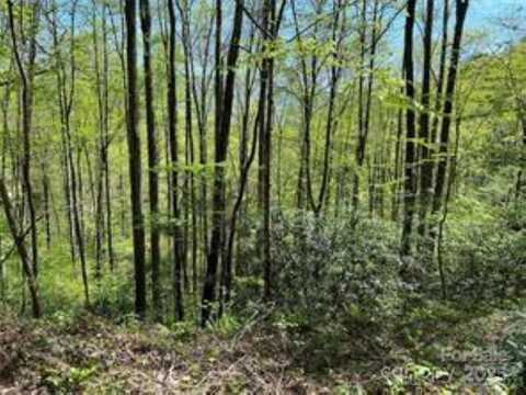 TR 6 Little Bit Trail, Whittier, NC 28789