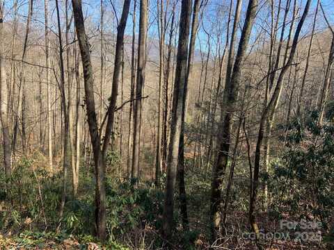 Tr 6 Little Bit Trail, Whittier, NC 28789