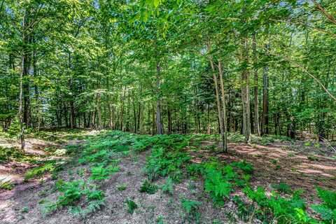 Lot 1 Emerald Ridge, Onekama, MI 49675
