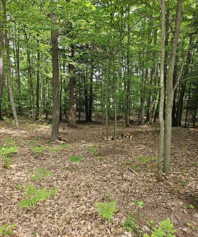 Lot 1 Emerald Ridge, Onekama, MI 49675
