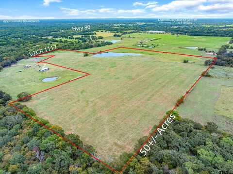 TBD (50 acres) VZ County Road 1117, Grand Saline, TX 75140