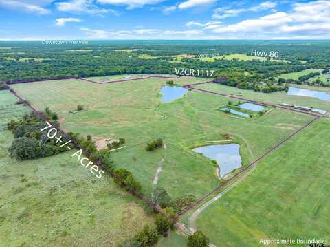 TBD (70 Acres) VZ County Road 1117, Grand Saline, TX 75140