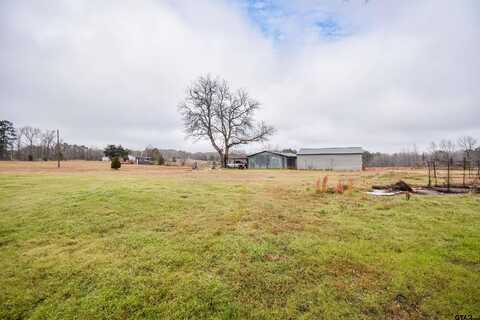 22975 CR 26, Overton, TX 75684