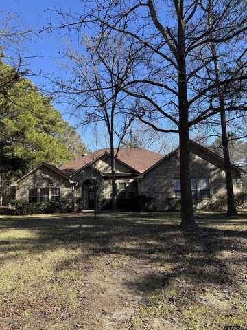 189 POWDER HORN, Holly Lake Ranch, TX 75765