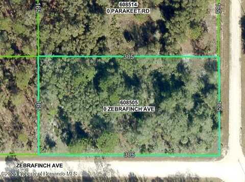 Lot 9 Zebrafinch Avenue, Weeki Wachee, FL 34614