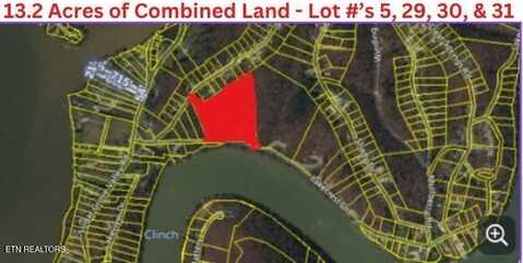 Lots 5, 29, 30,& 31 Lakecrest Drive, Harriman, TN 37748