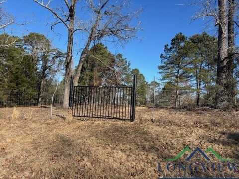 Tbd Frances Lane, Diana, TX 75640