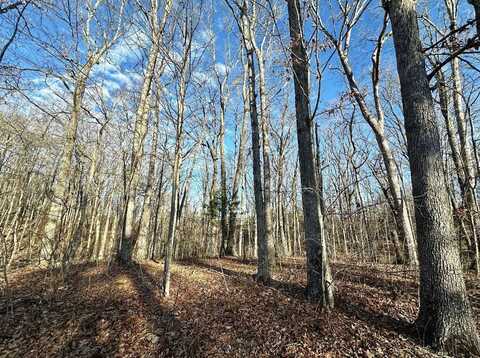 Tract # Sandy Gap Tower Road, Somerset, KY 42503