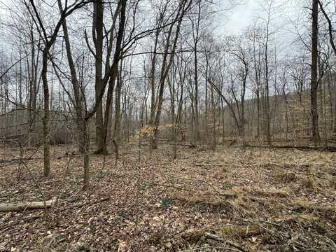 Hardwood Road, Hillsboro, KY 41049