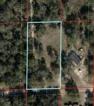 NE 127 PLACE, BRONSON, FL 32621