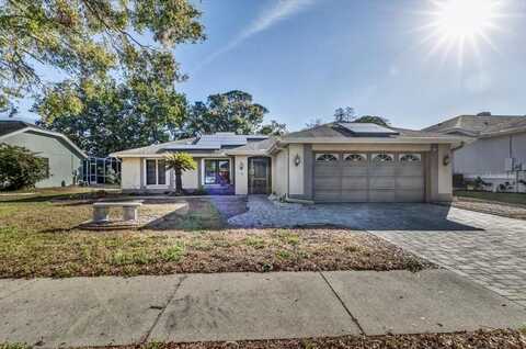 3028 SUMMERVALE DRIVE, HOLIDAY, FL 34691