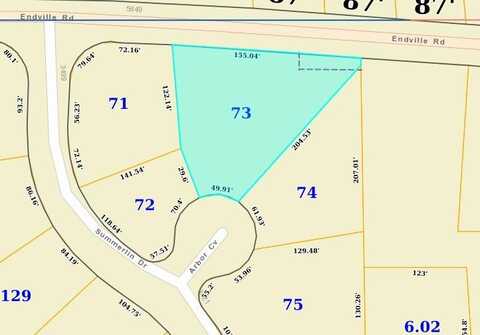 Lot 59 Summerlin, Belden, MS 38826