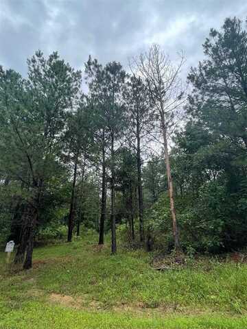 16 Cedar Hills Trail, Broken Bow, OK 74728