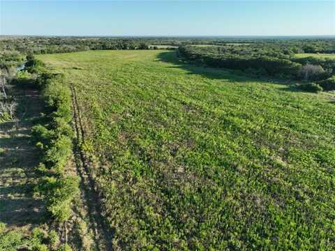 Tbd CR 137, Carlton, TX 76436