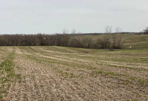 TBD B H Highway & 415th Street, Ford City, MO 64463