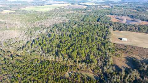 X Logan Loop Rd, Malone, FL 32445