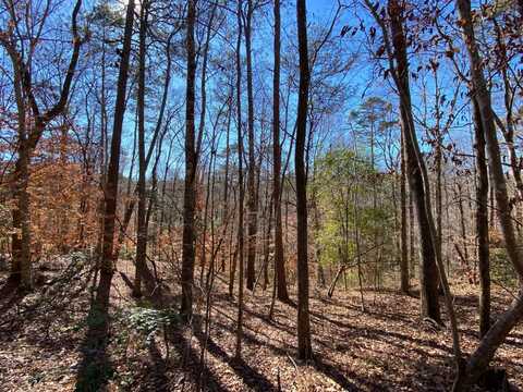 0 County Road 42, Tunnel Springs, AL 36471