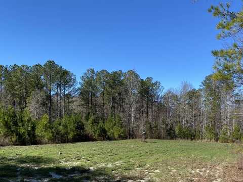 0 Water Tower Road, Tunnel Springs, AL 36471