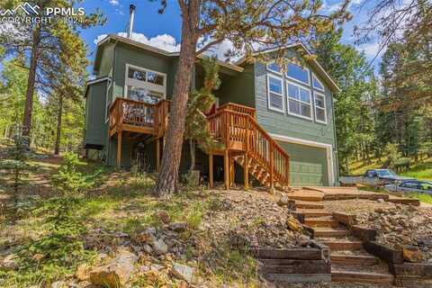 413 Remwood Circle, Divide, CO 80814