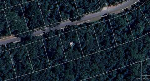 905 E Abend Drive, Dunnellon, FL 34434