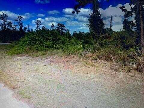 729 Ontario Ave, Lehigh Acres, FL 33974