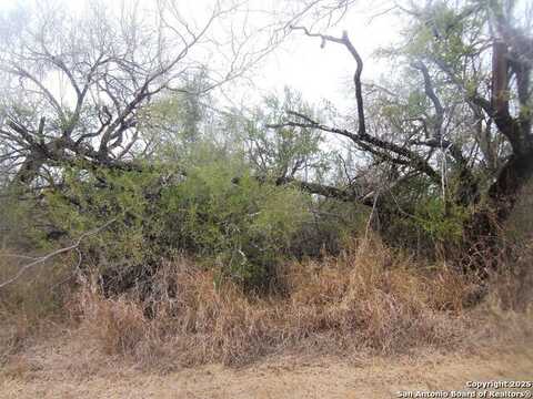 Tbd FM 1582, Pearsall, TX 78061